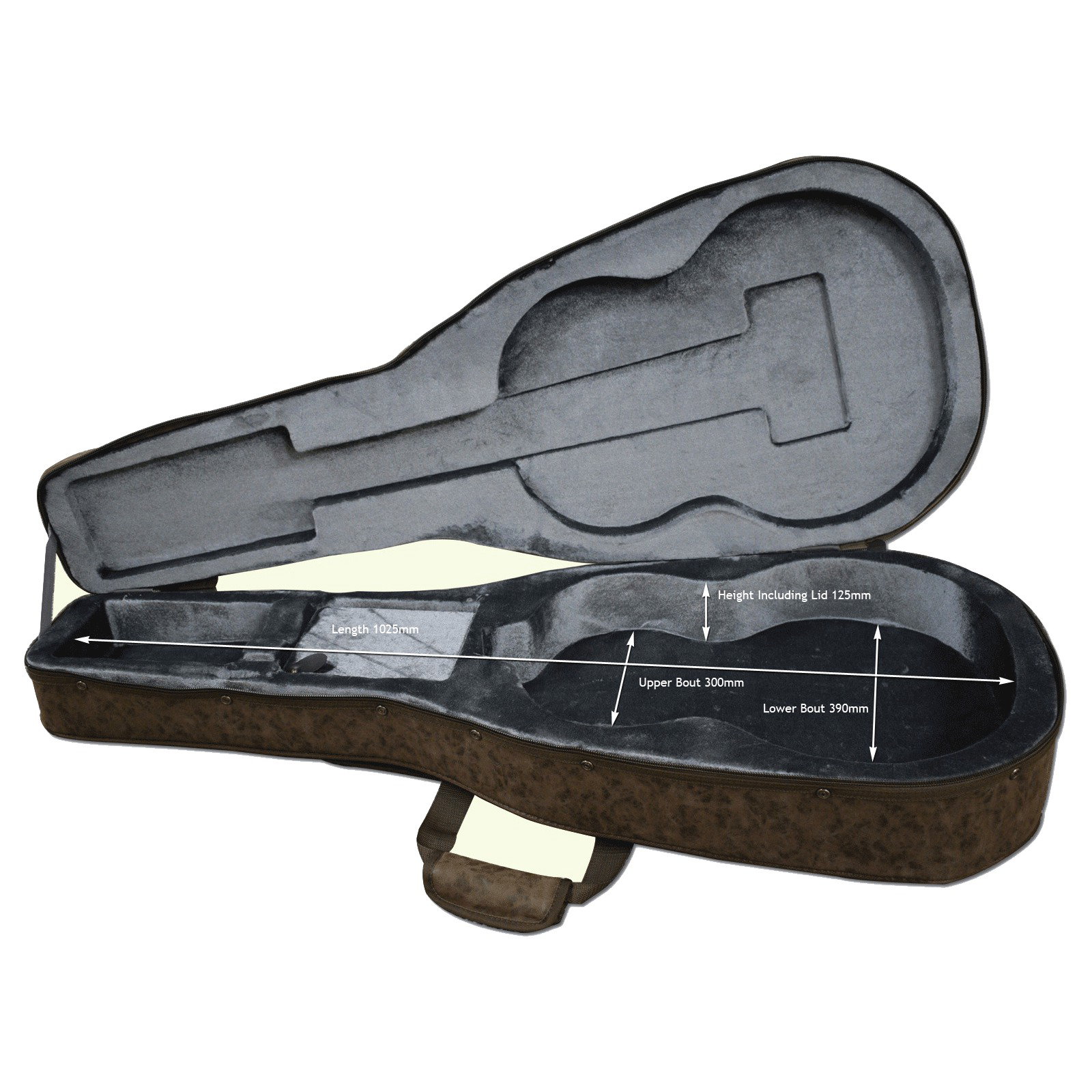 Aria AC-25CE Classical Guitar Hard Case
